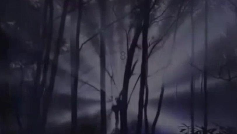探寻奇妙世界,畅享问答乐趣——离婚对一个岁的小孩伤害有多大蜗牛问答平台